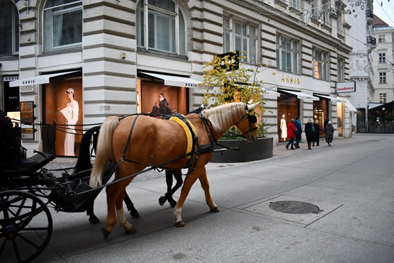 Vienna, walking along the way to Stephansdom
